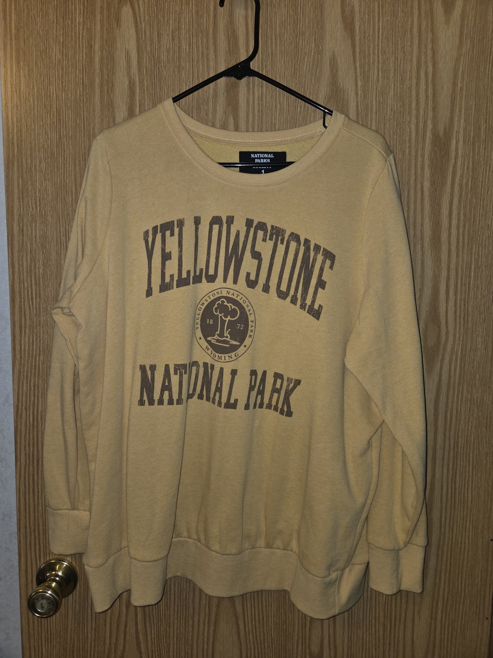torrid Yellow Graphic Crewneck Sweatshirt - Mustard